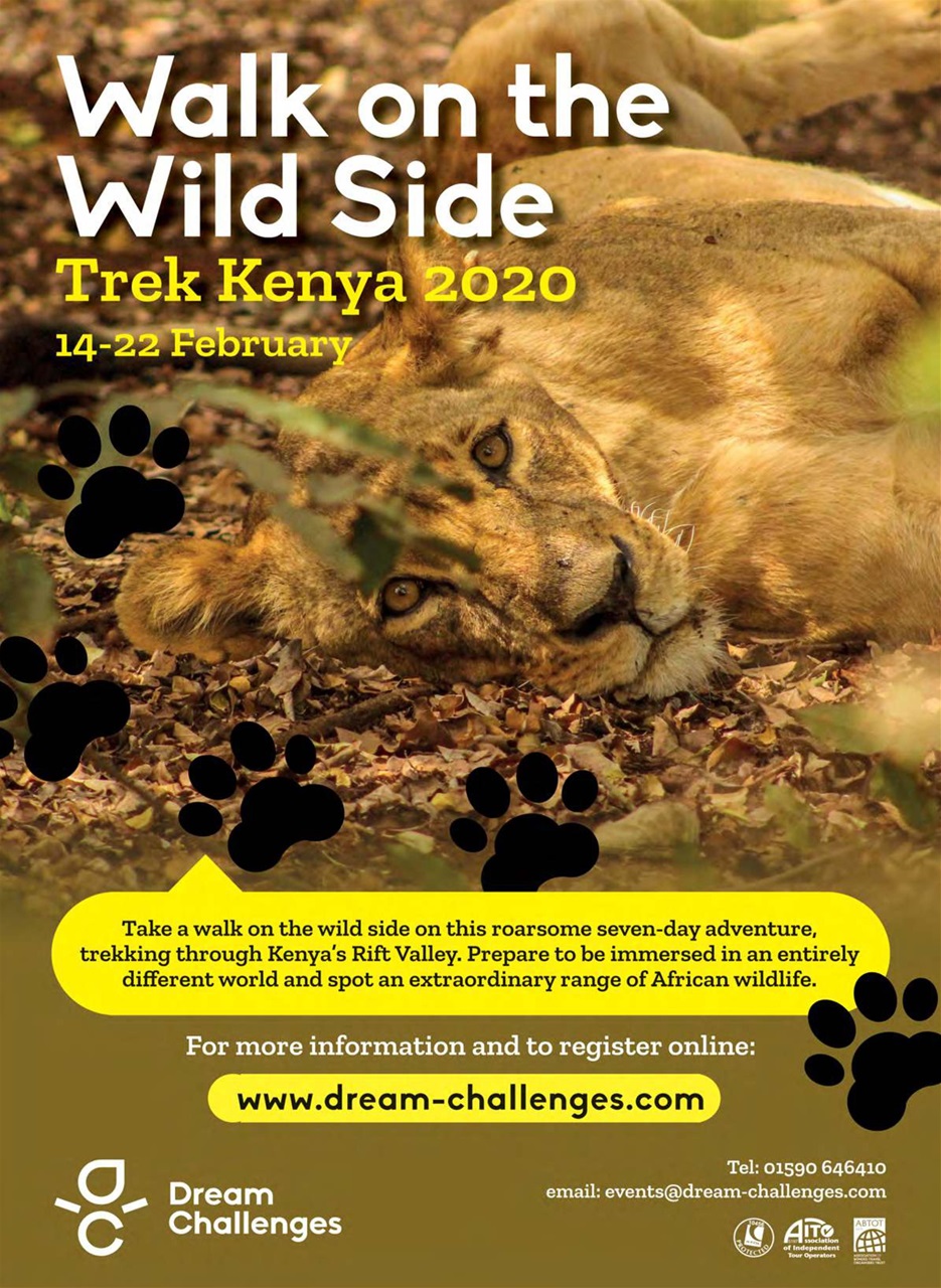 Veggie Magazine Preview Pages