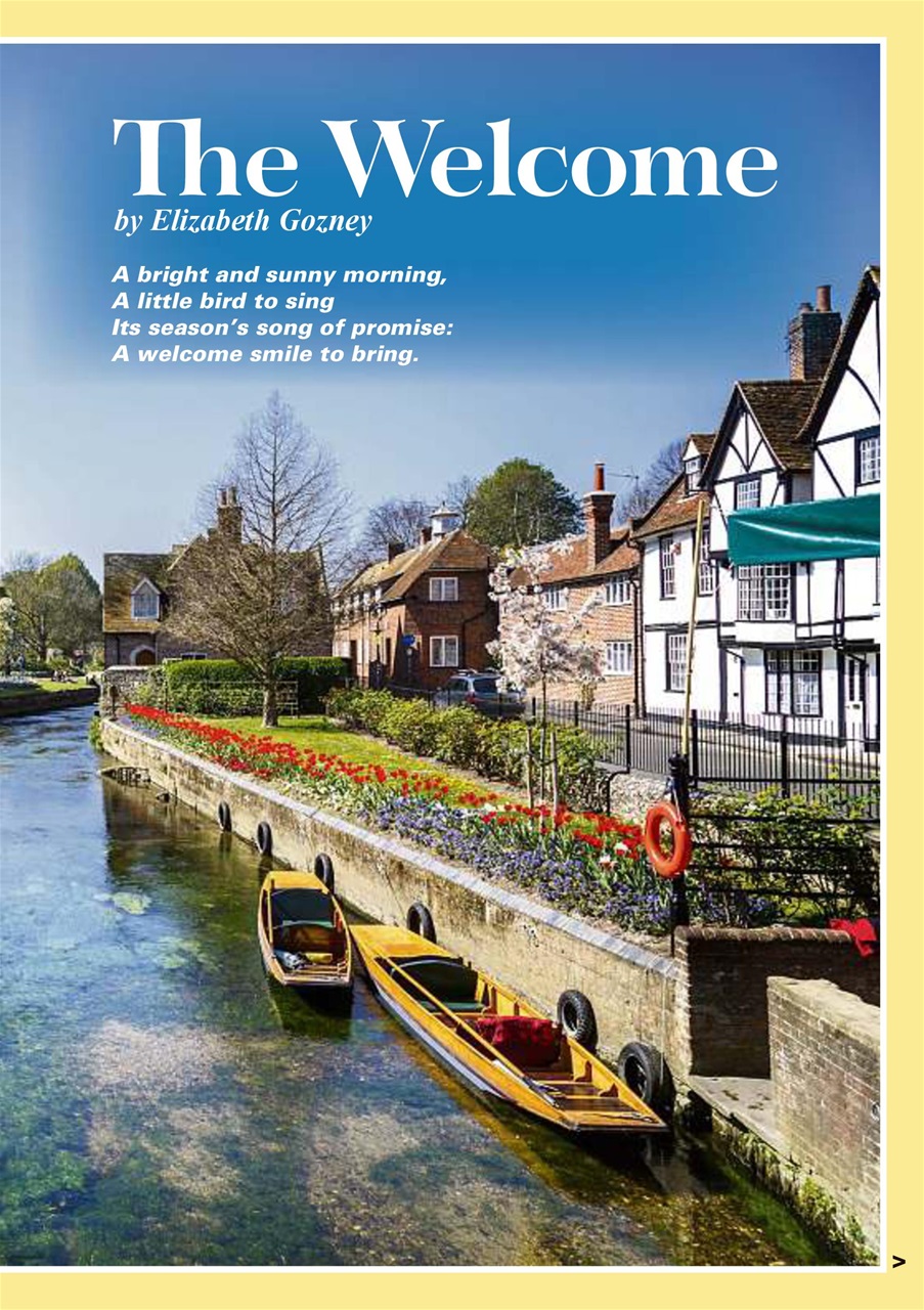 Evergreen Preview Pages