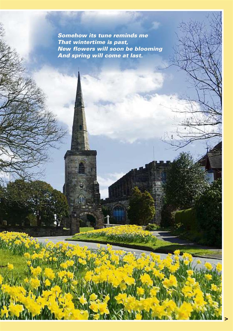 Evergreen Preview Pages