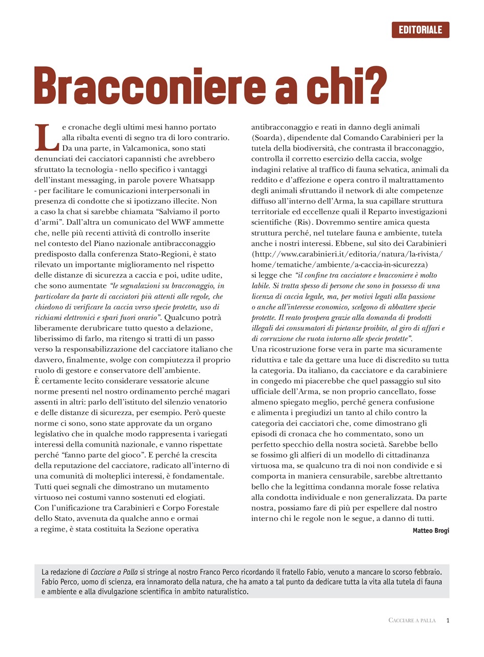 Caccia Magazine Preview Pages