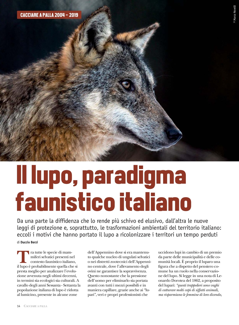 Caccia Magazine Preview Pages