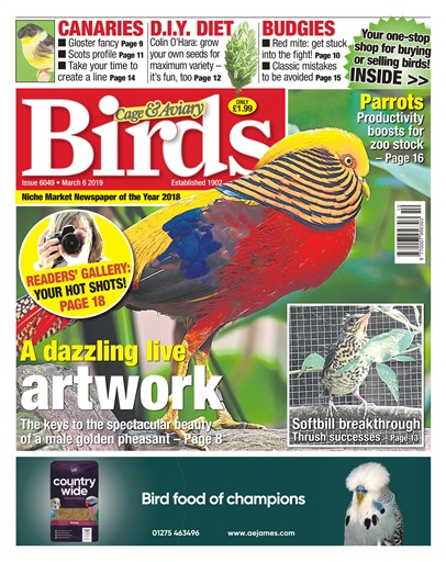 Cage & Aviary Birds issue 