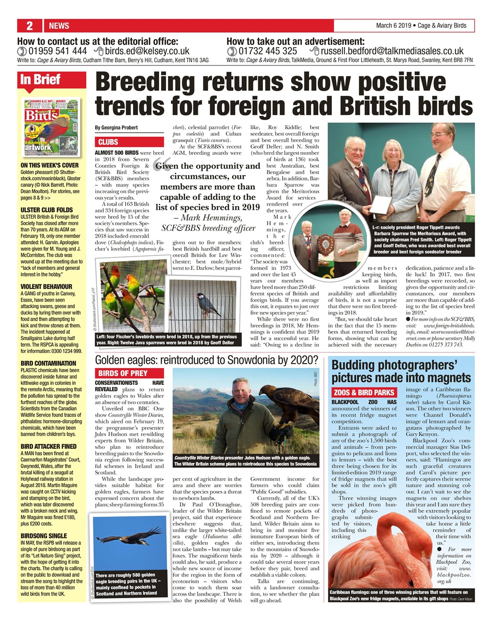 Cage & Aviary Birds Preview Pages