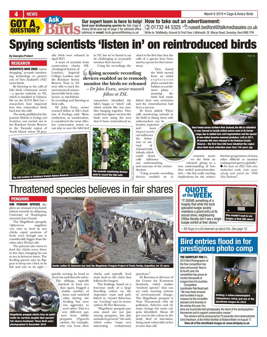 Cage & Aviary Birds Preview Pages