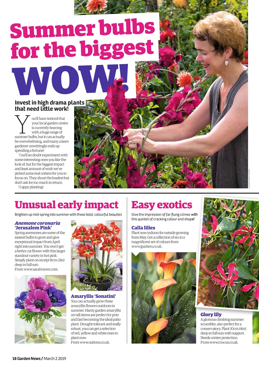 Garden News Preview Pages