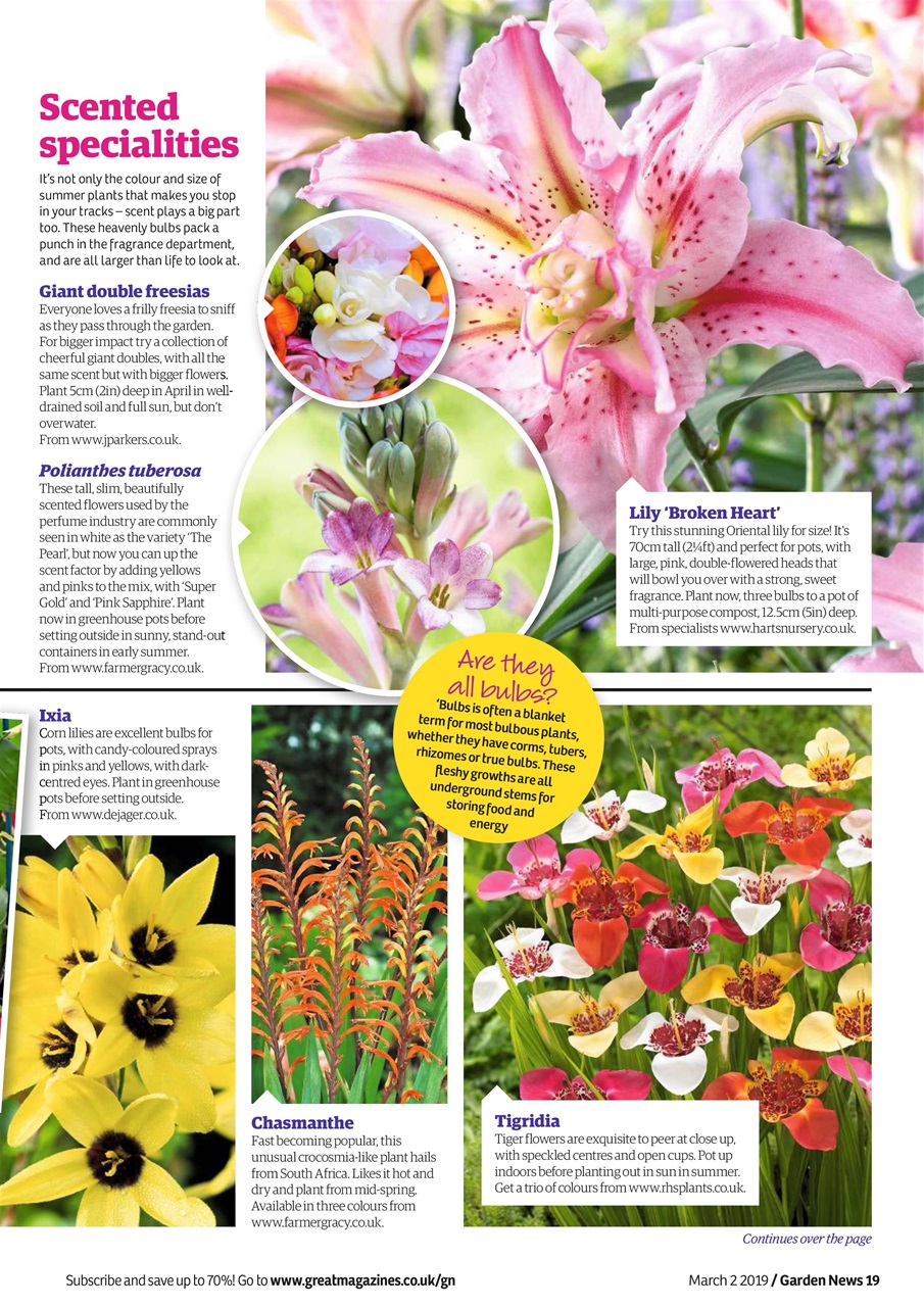 Garden News Preview Pages