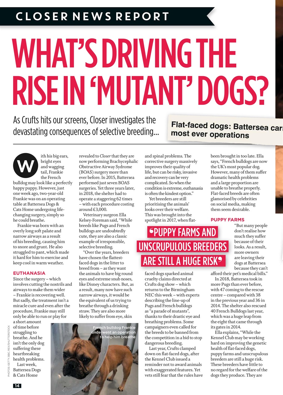 Closer Preview Pages