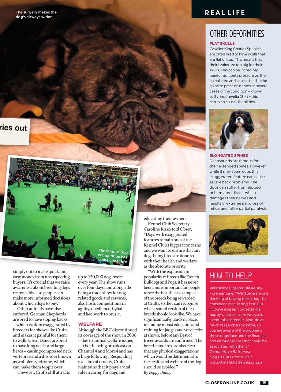 Closer Preview Pages