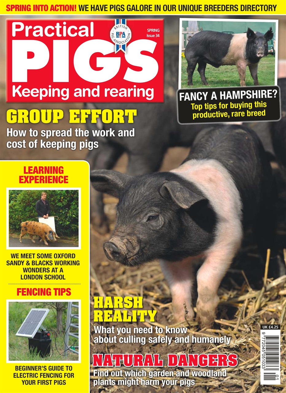 Practical Pigs Preview Pages