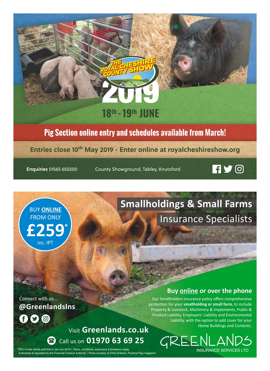 Practical Pigs Preview Pages