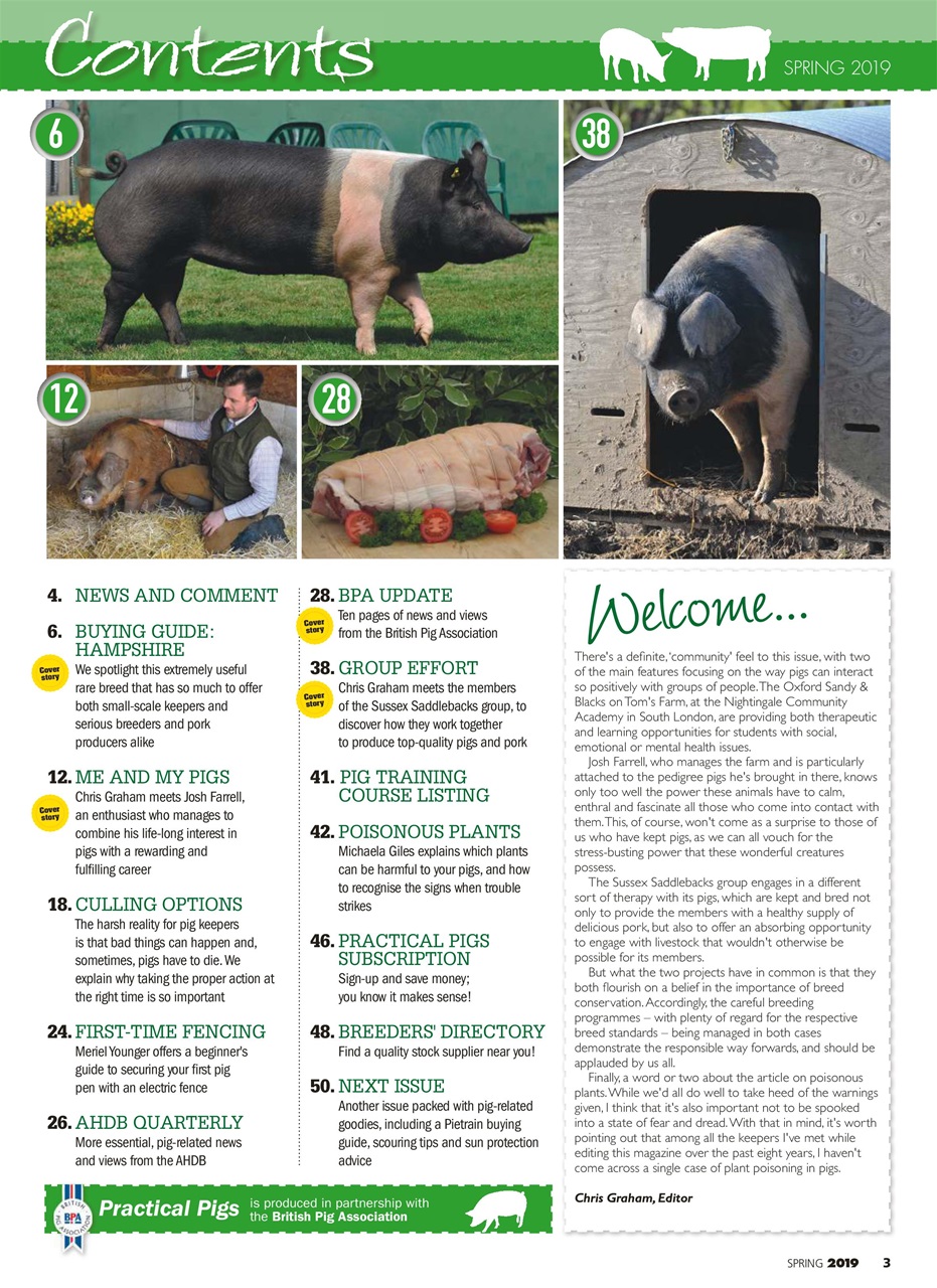 Practical Pigs Preview Pages