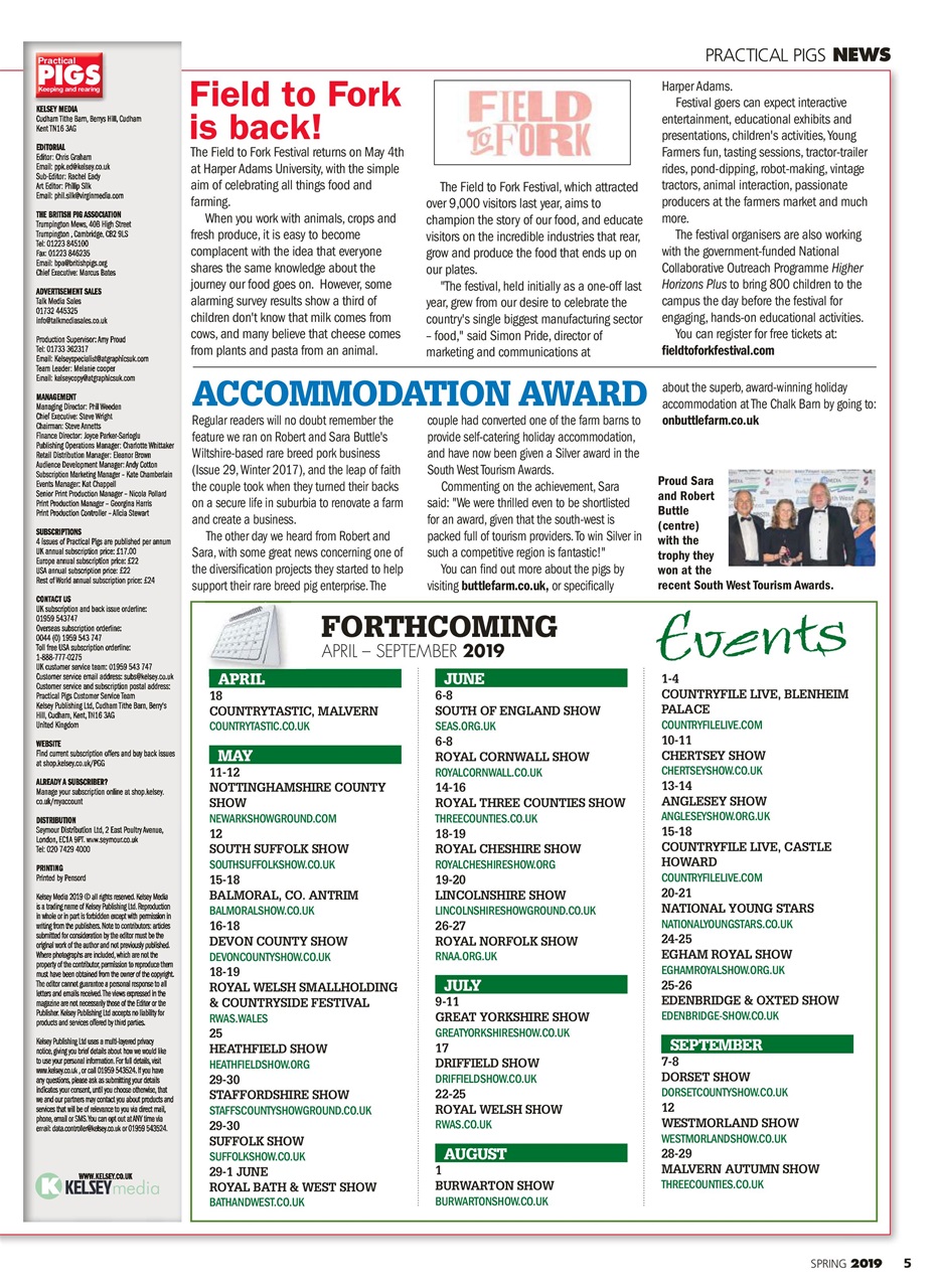 Practical Pigs Preview Pages