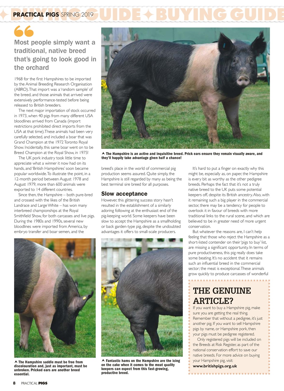 Practical Pigs Preview Pages