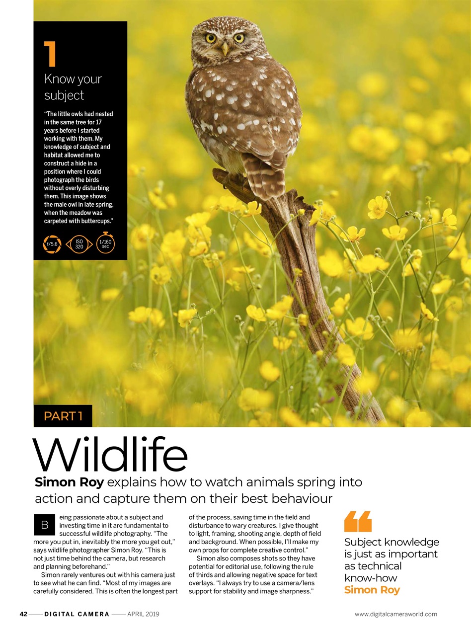 Digital Camera Magazine Preview Pages