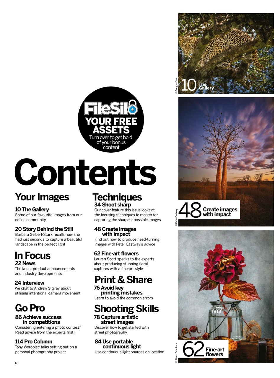 Digital Photographer Preview Pages