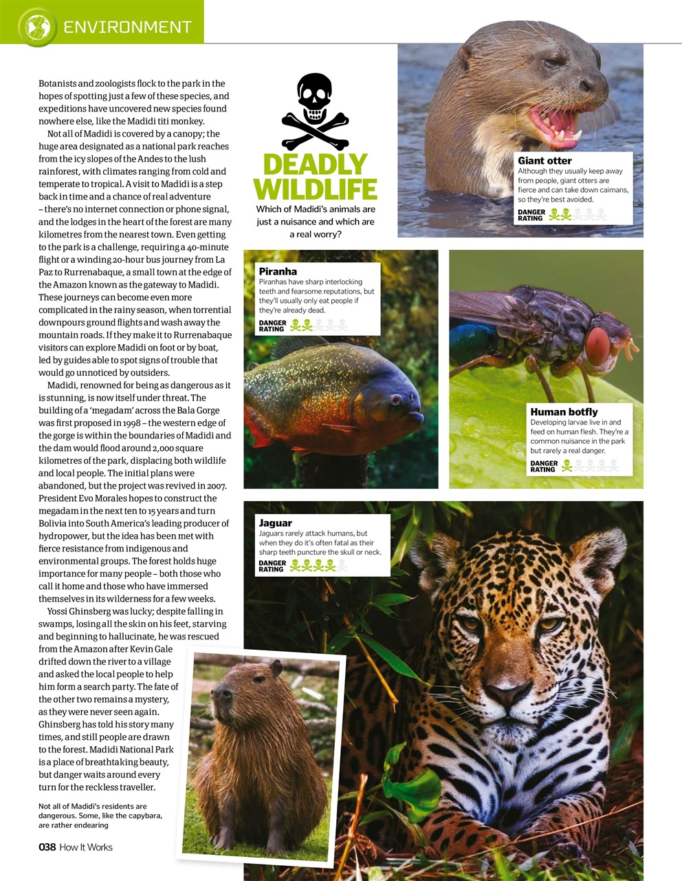 How It Works Preview Pages