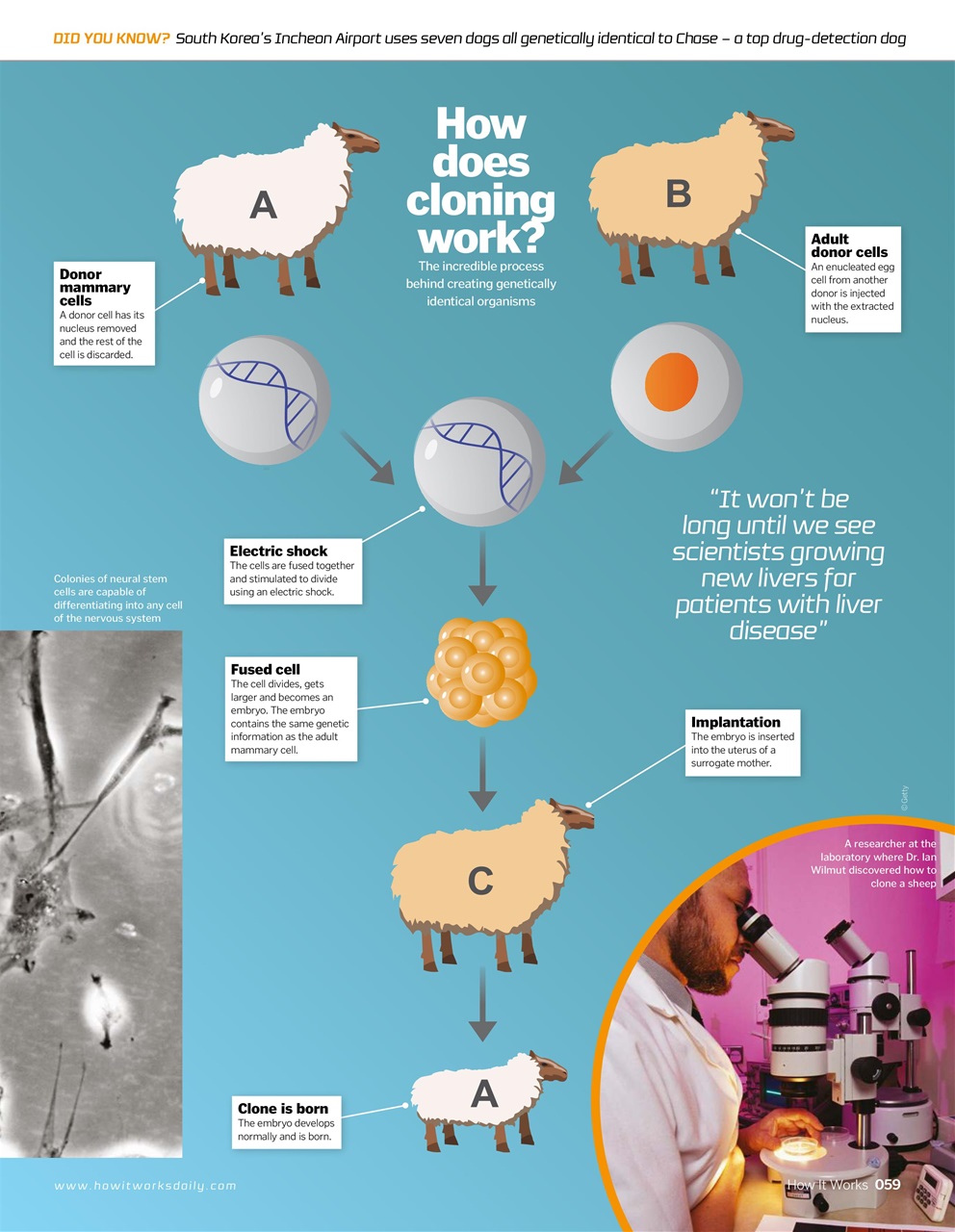 How It Works Preview Pages
