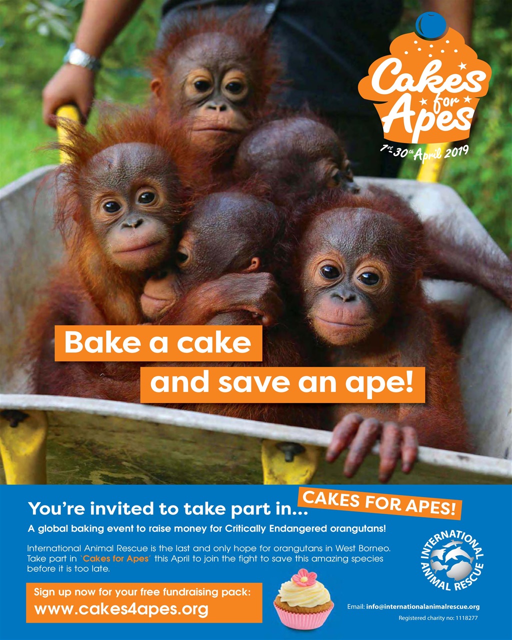 Vegetarian Living Preview Pages