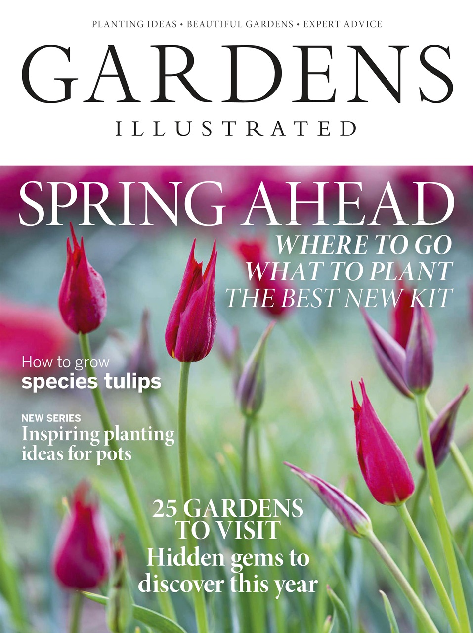 Gardens Illustrated Preview Pages