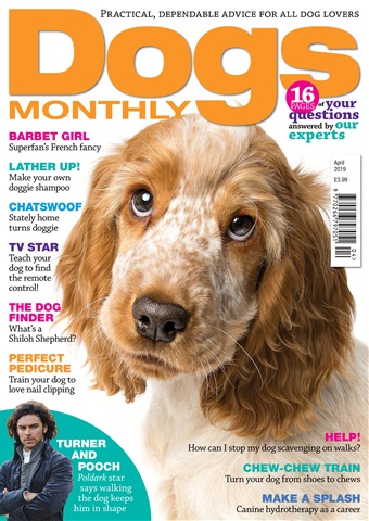 April 2019 issue April 2019