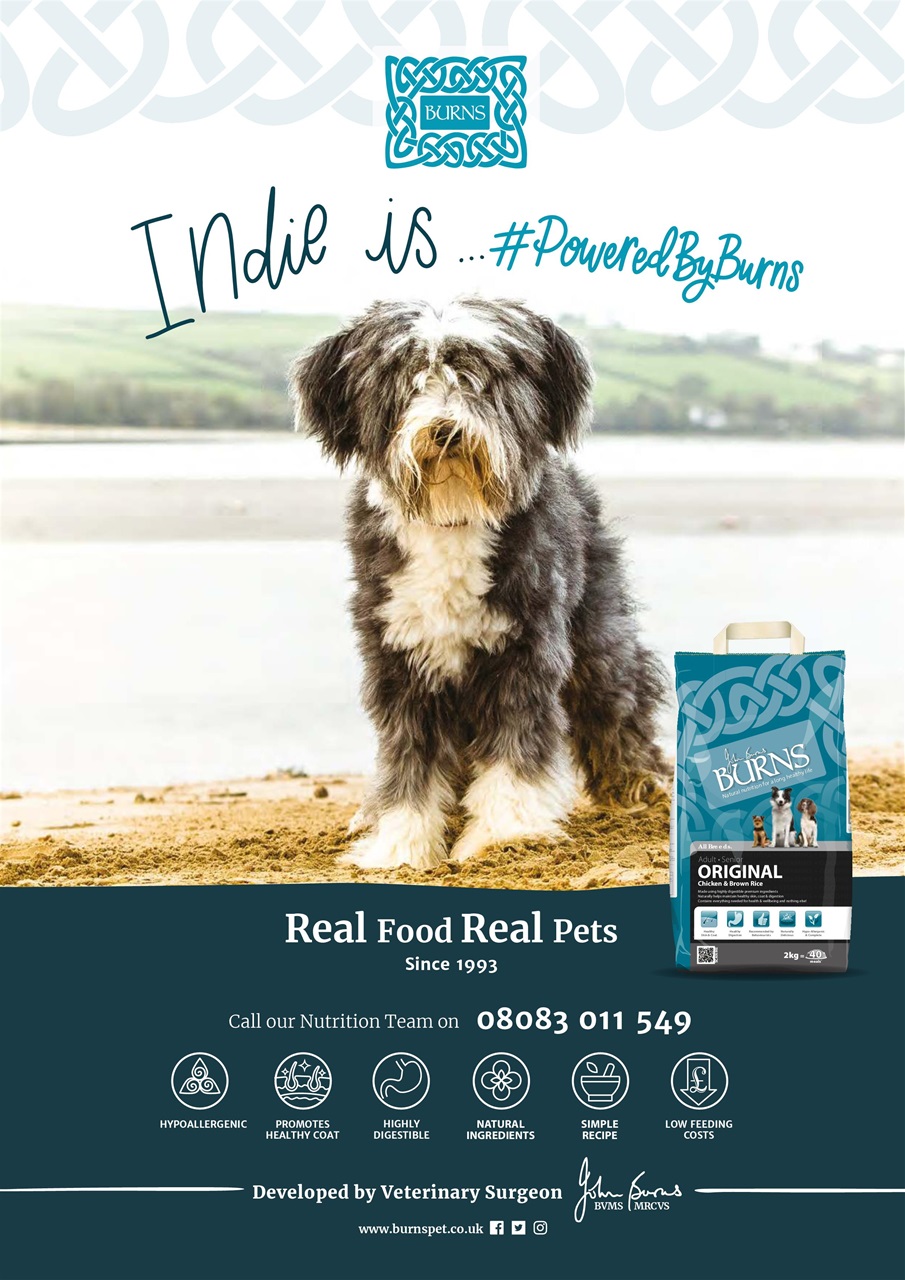 Dogs Monthly Preview Pages