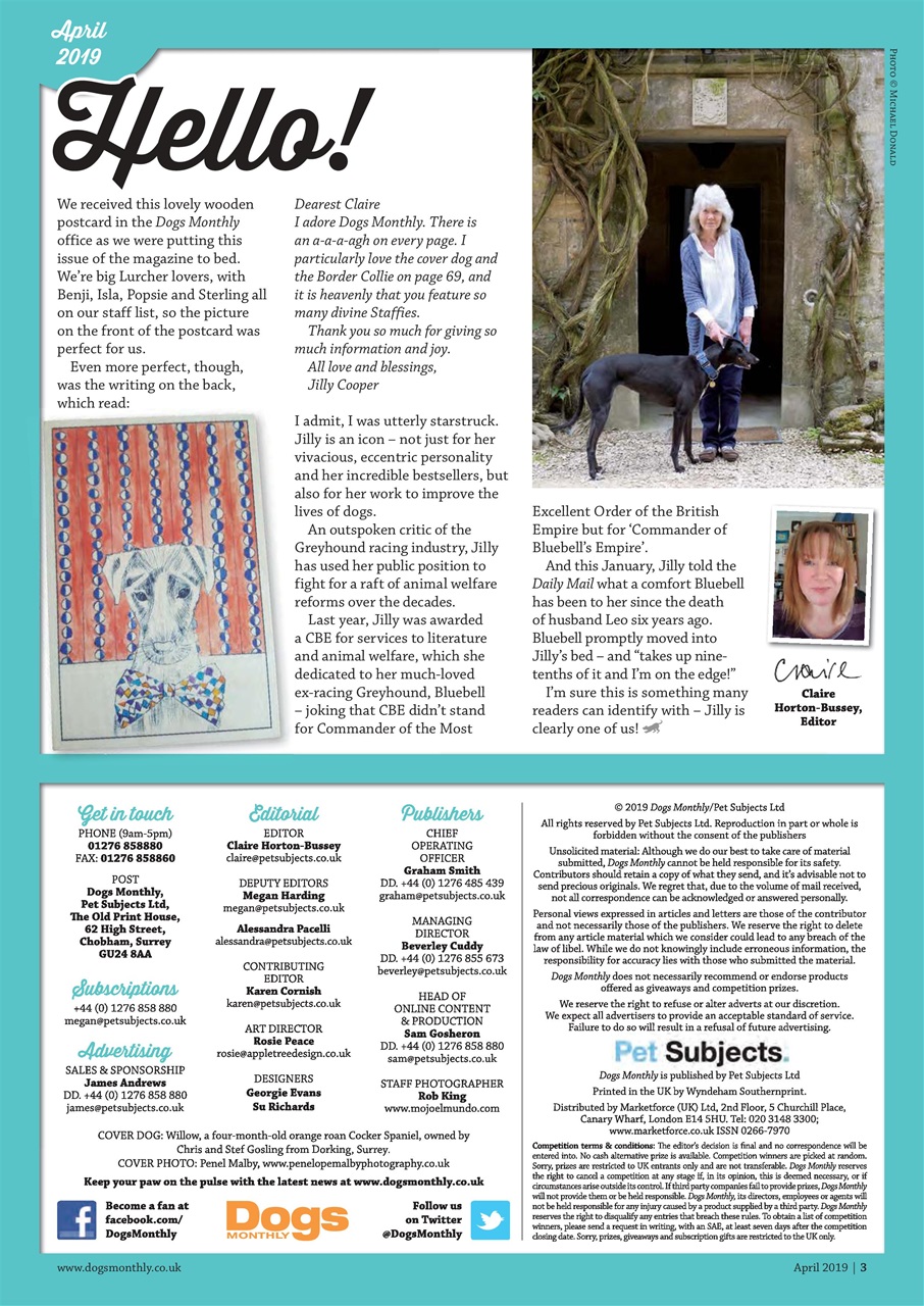 Dogs Monthly Preview Pages