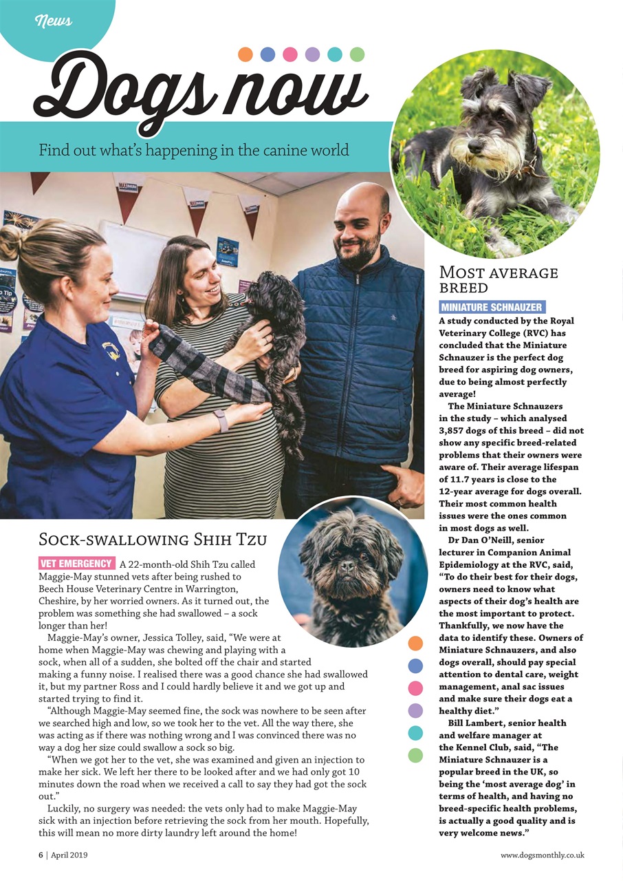 Dogs Monthly Preview Pages