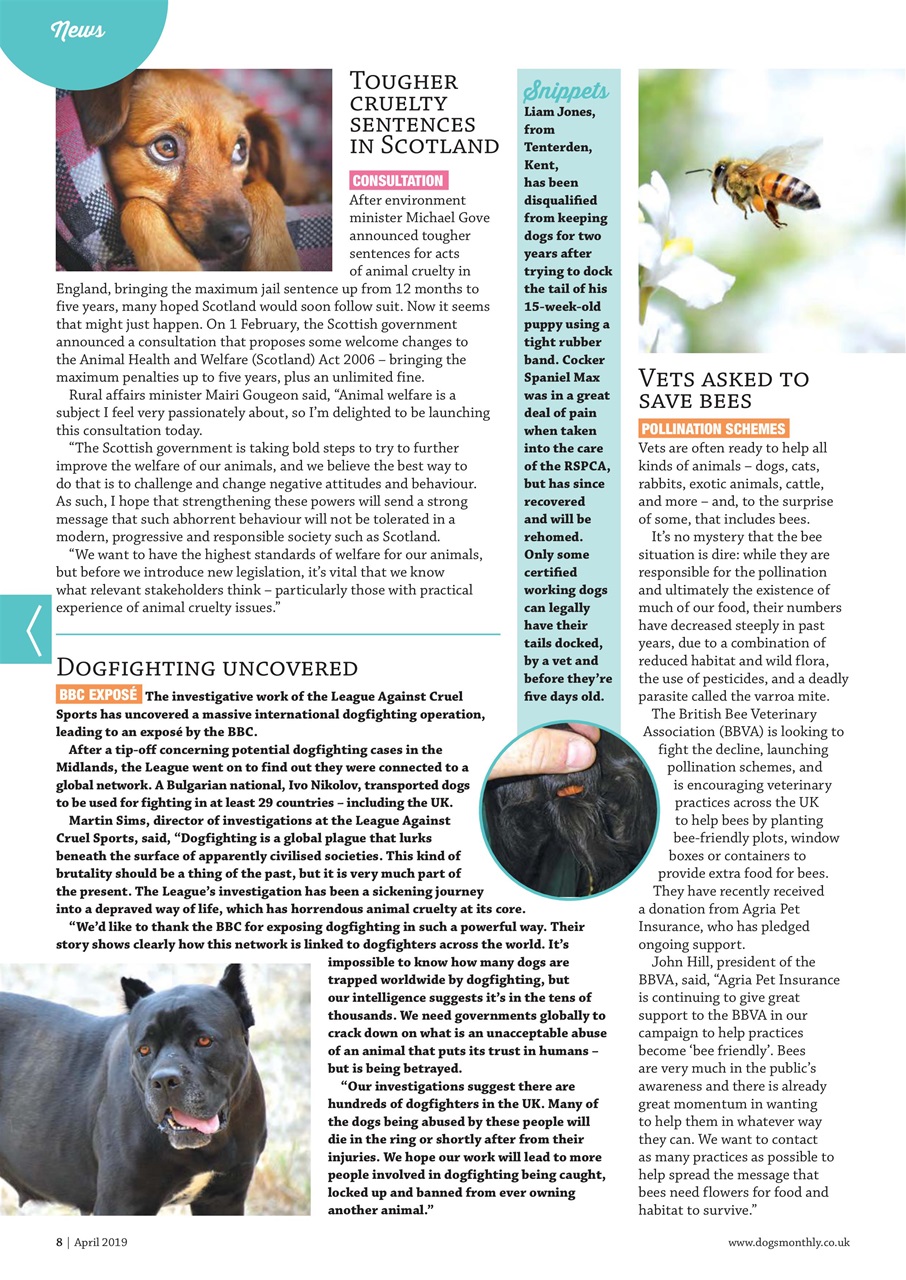 Dogs Monthly Preview Pages