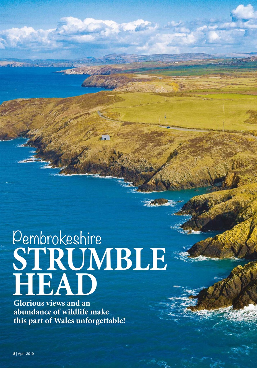 Caravan Magazine Preview Pages