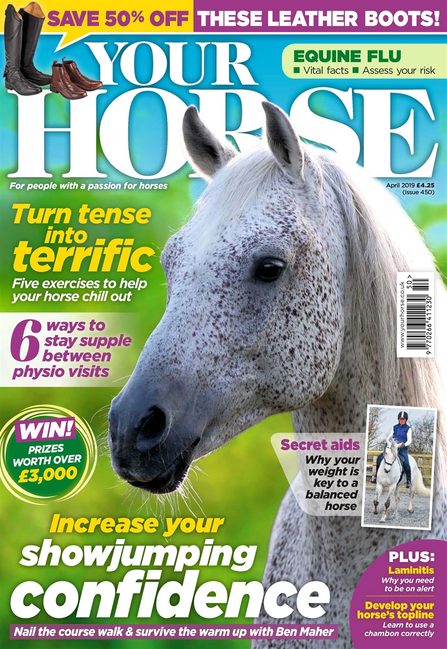 Your Horse Preview Pages