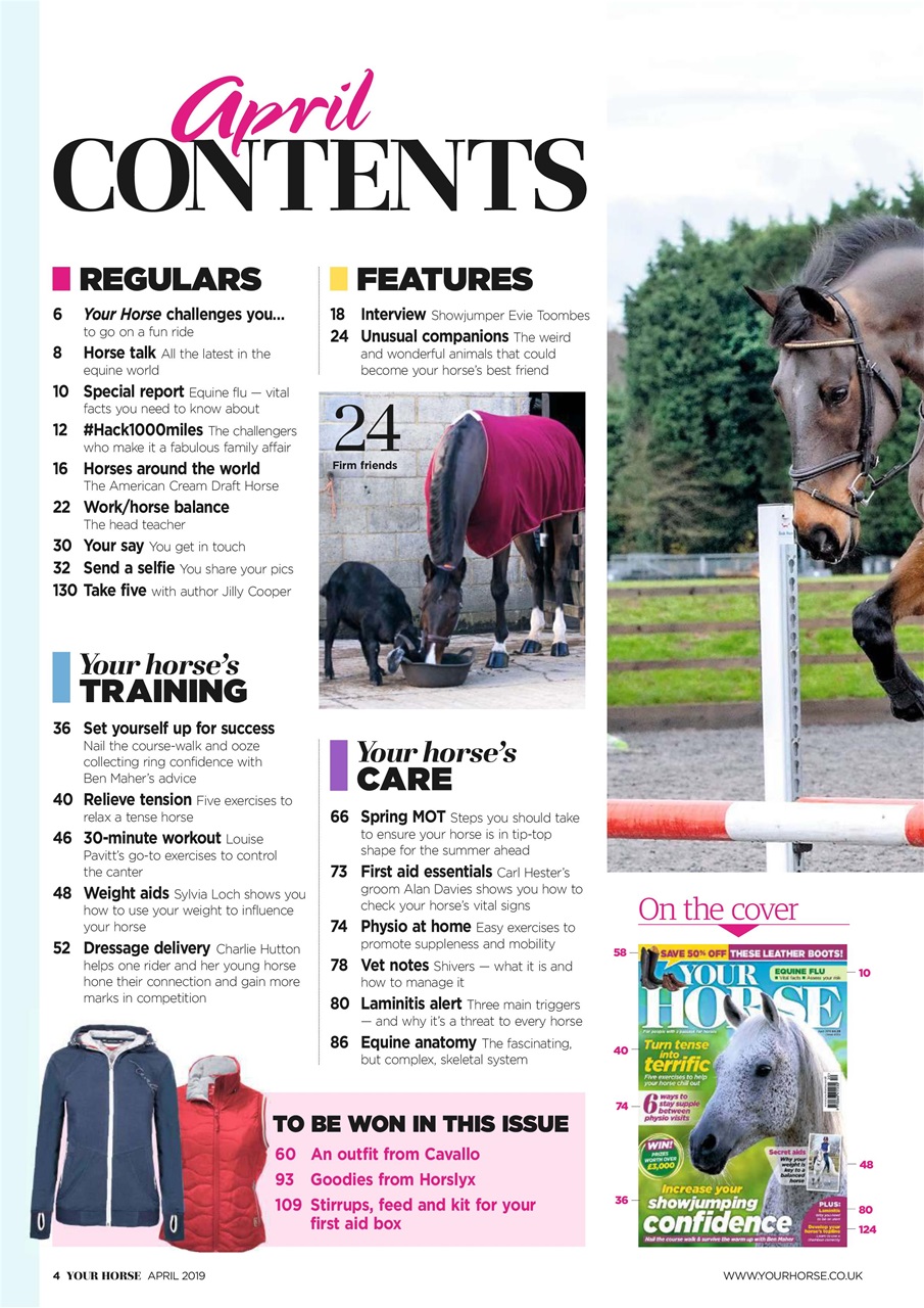 Your Horse Preview Pages