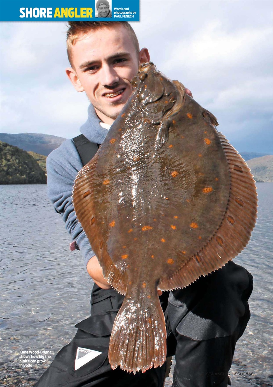 Sea Angler Preview Pages