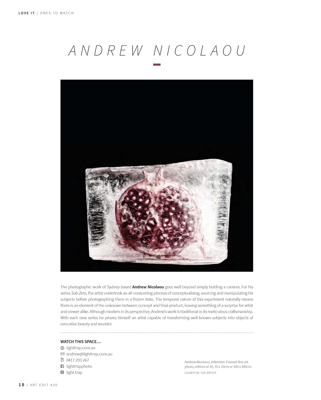 Art Edit Preview Pages