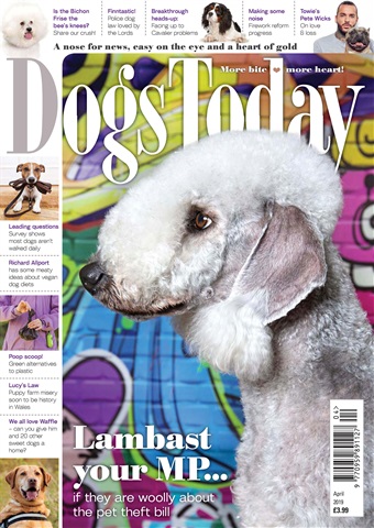 Dogs Today Magazine issue April 2019
