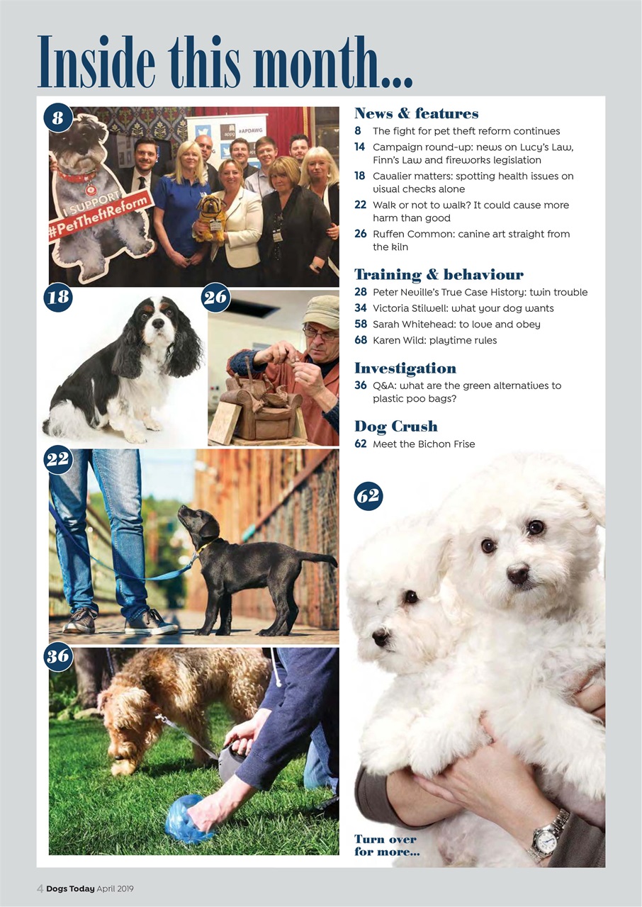 Dogs Today Magazine Preview Pages