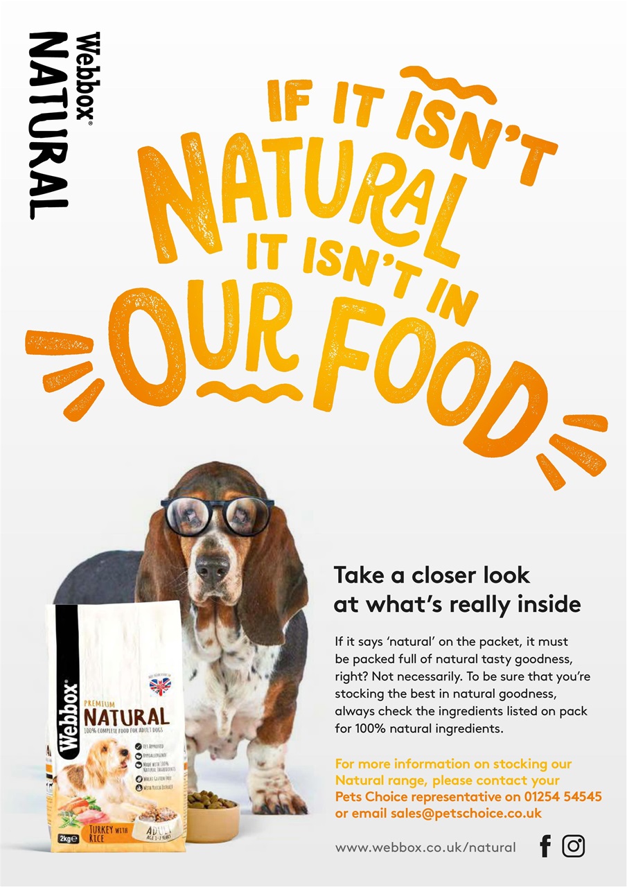 Dogs Today Magazine Preview Pages