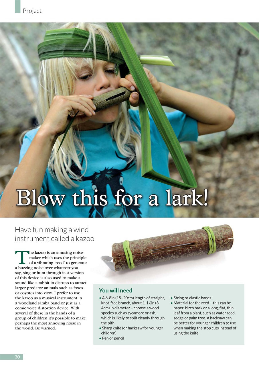 Woodworking Crafts Magazine Preview Pages