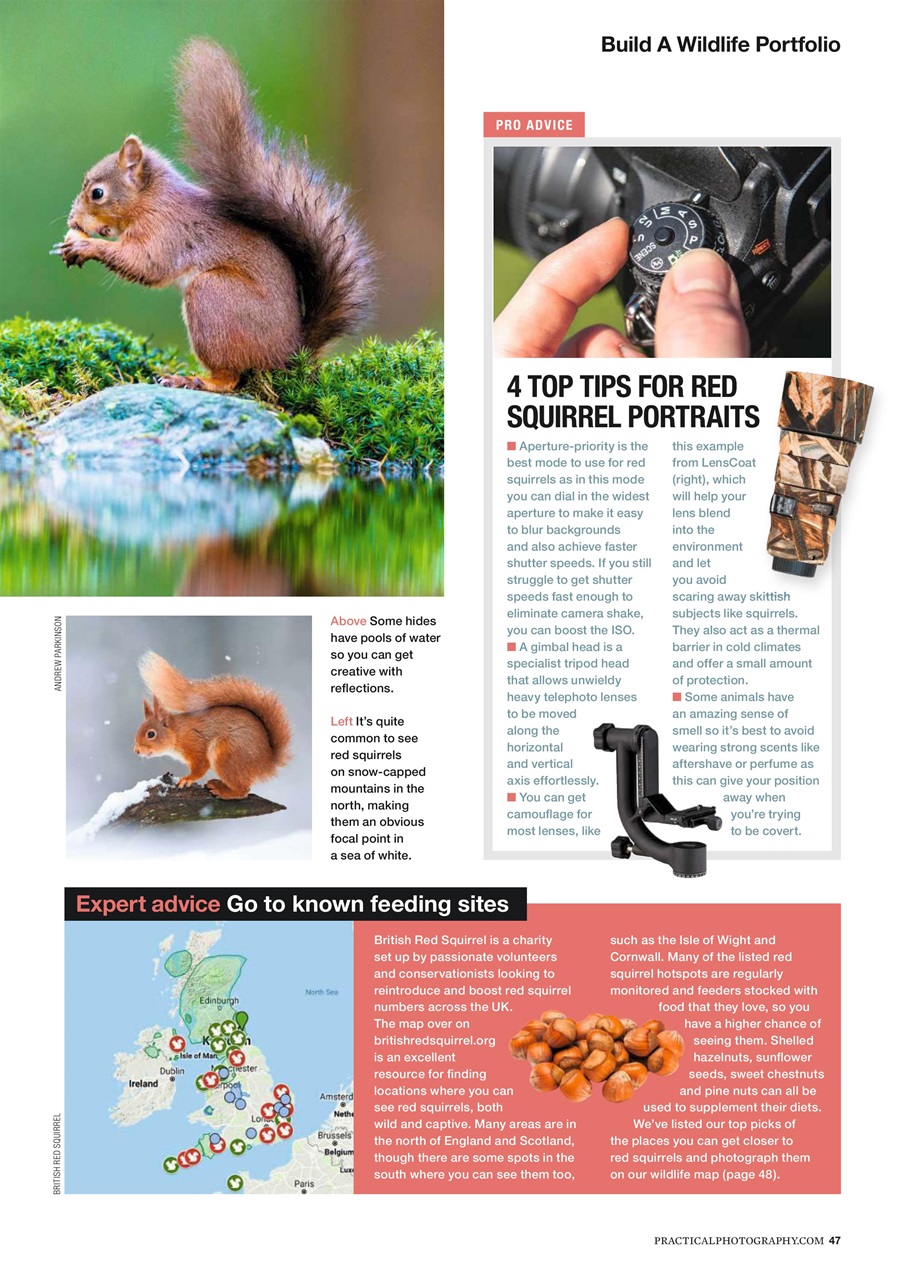 Practical Photography Preview Pages