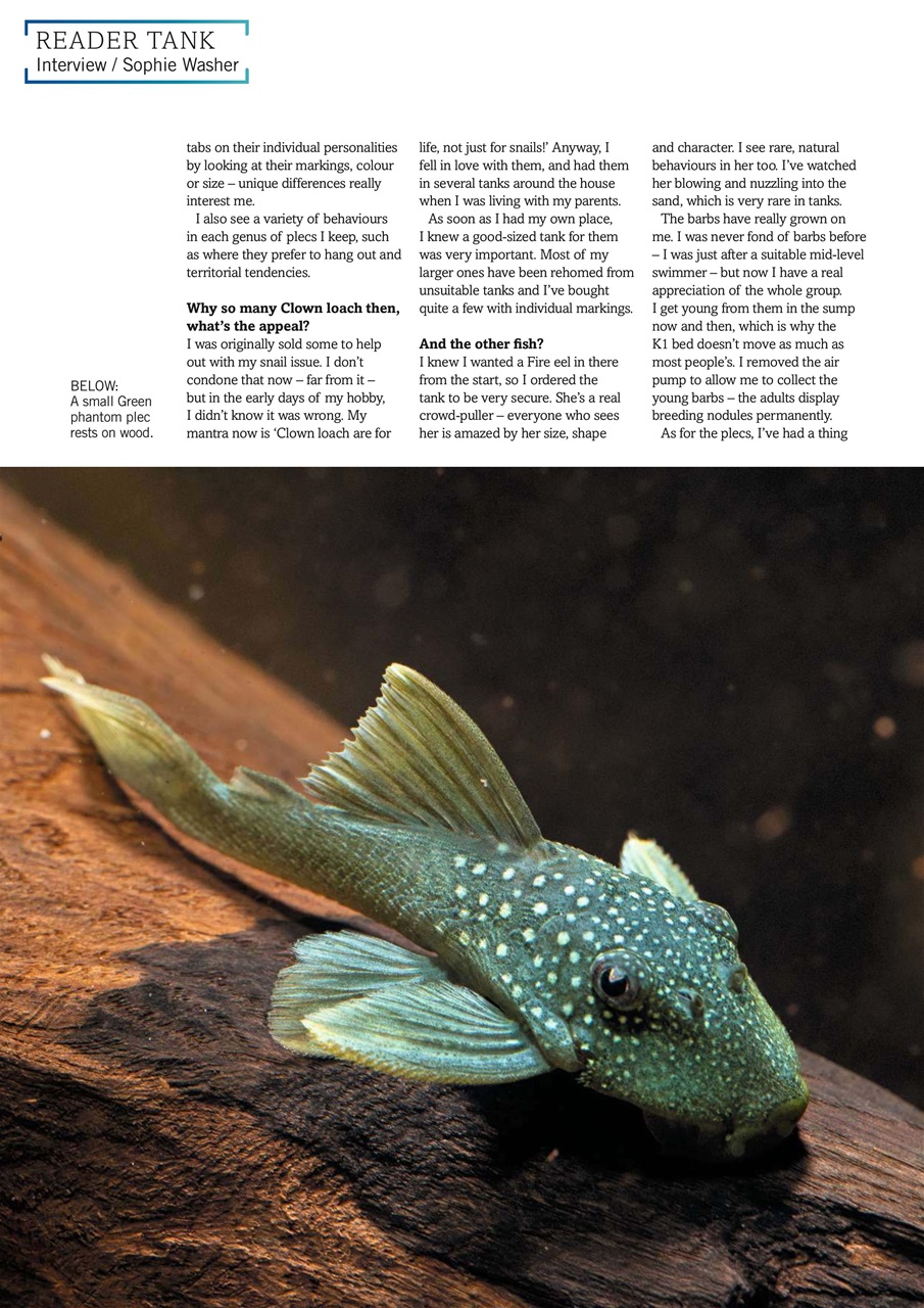 Practical Fishkeeping Preview Pages
