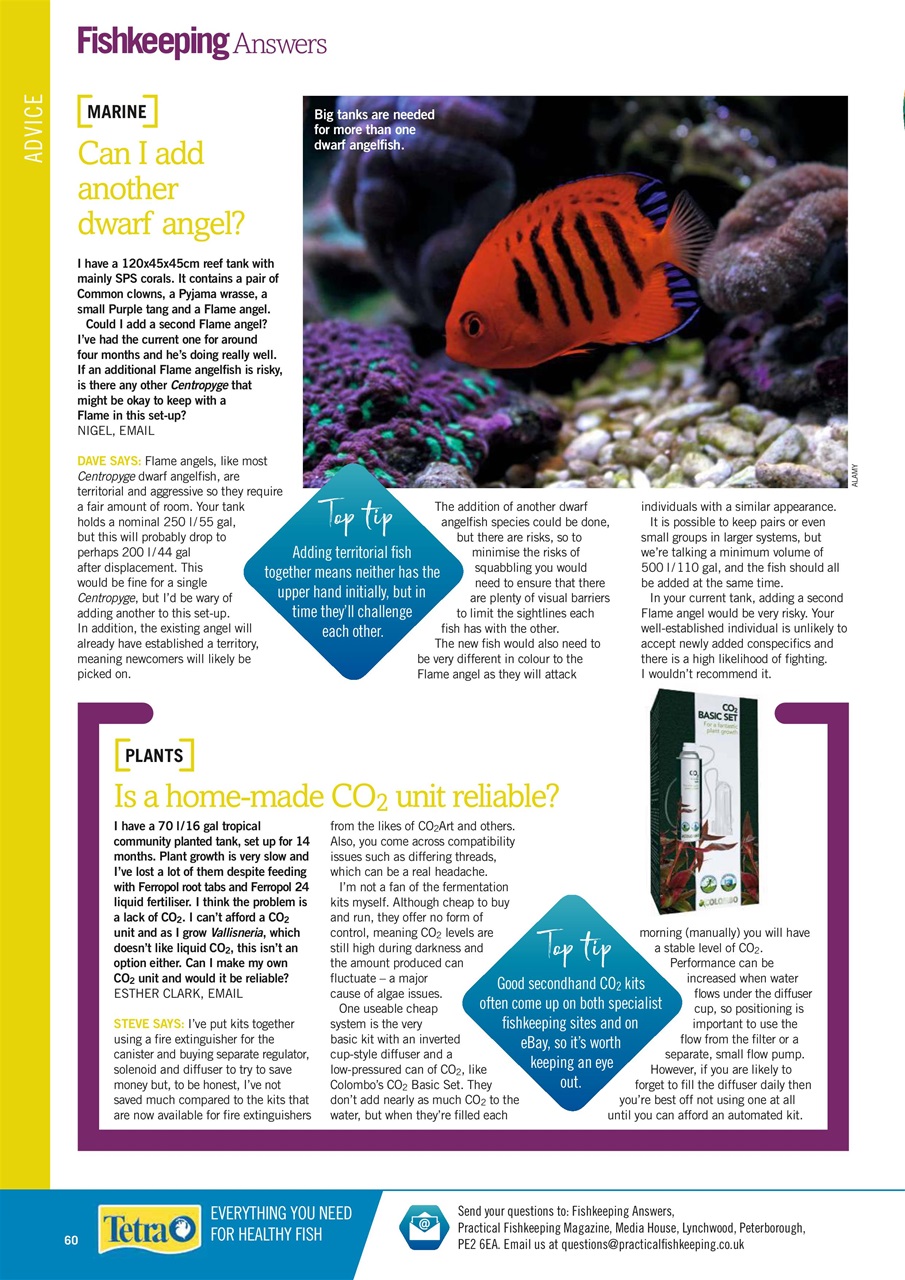 Practical Fishkeeping Preview Pages