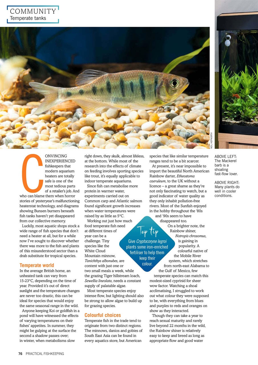 Practical Fishkeeping Preview Pages