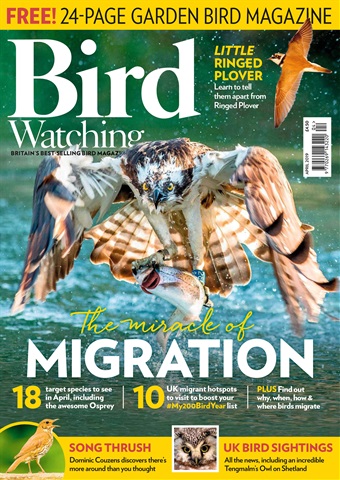 Bird Watching issue April 2019