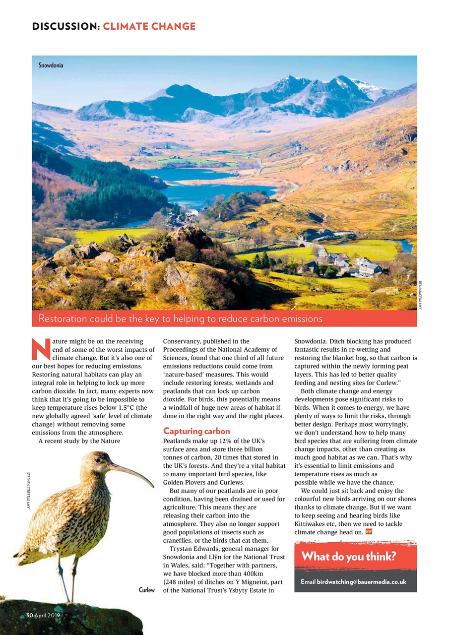 Bird Watching Preview Pages