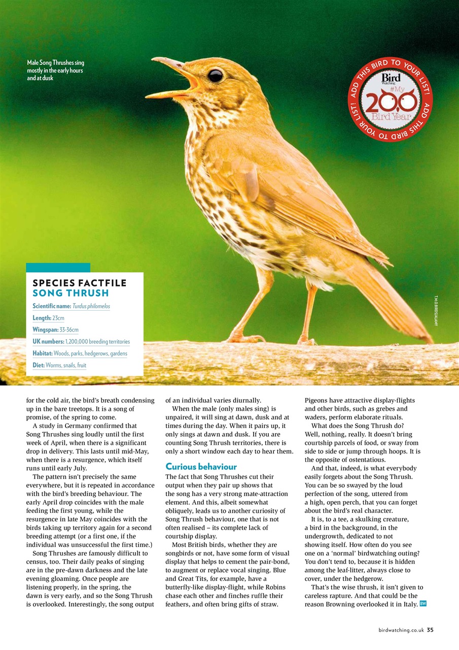 Bird Watching Preview Pages