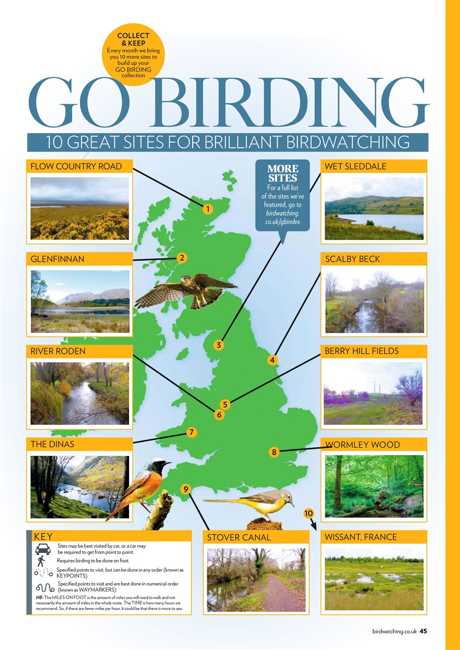 Bird Watching Preview Pages