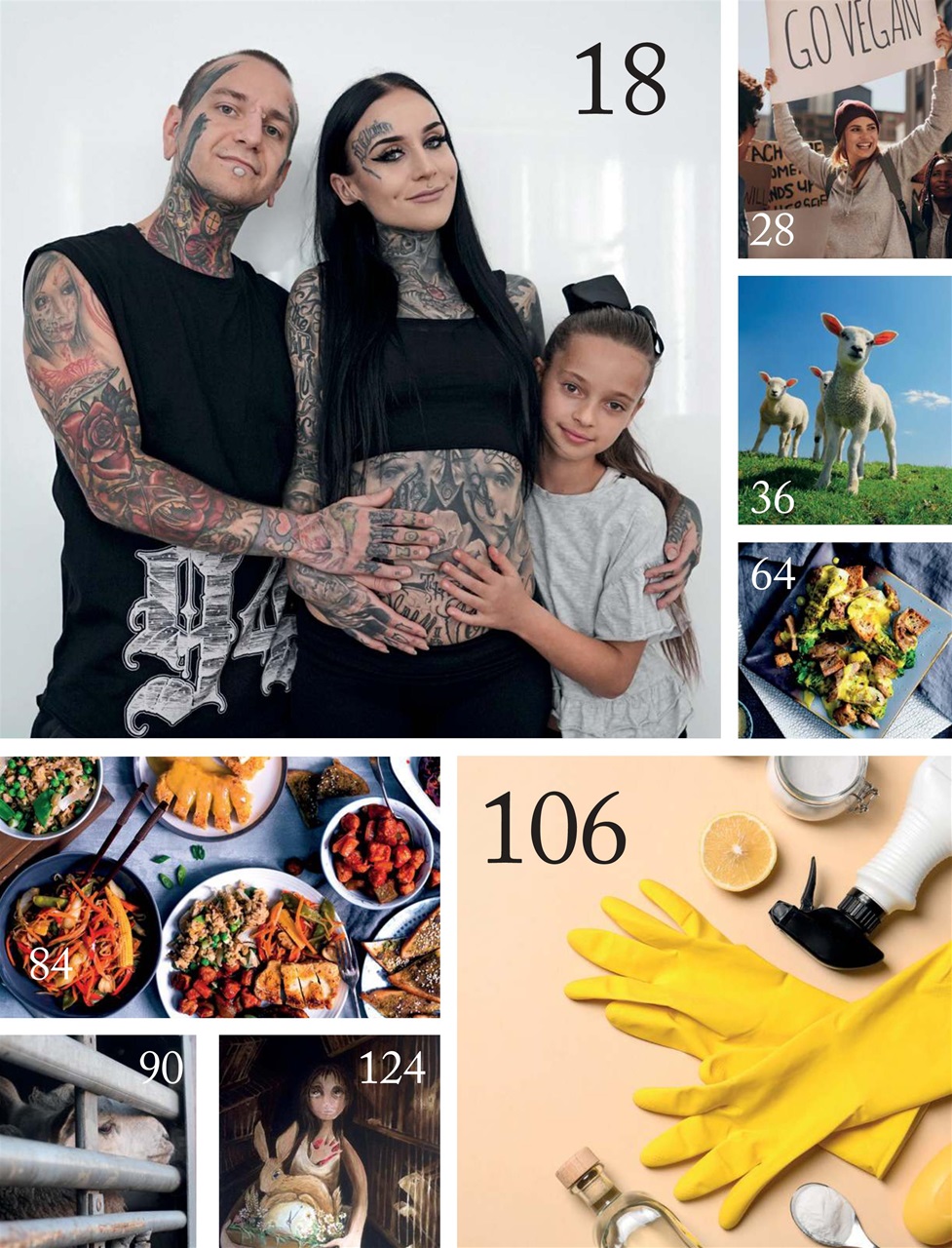 Vegan Life Preview Pages