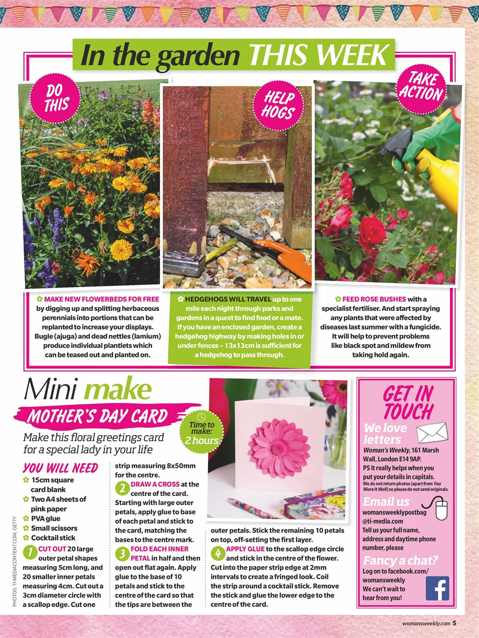 Woman's Weekly Preview Pages