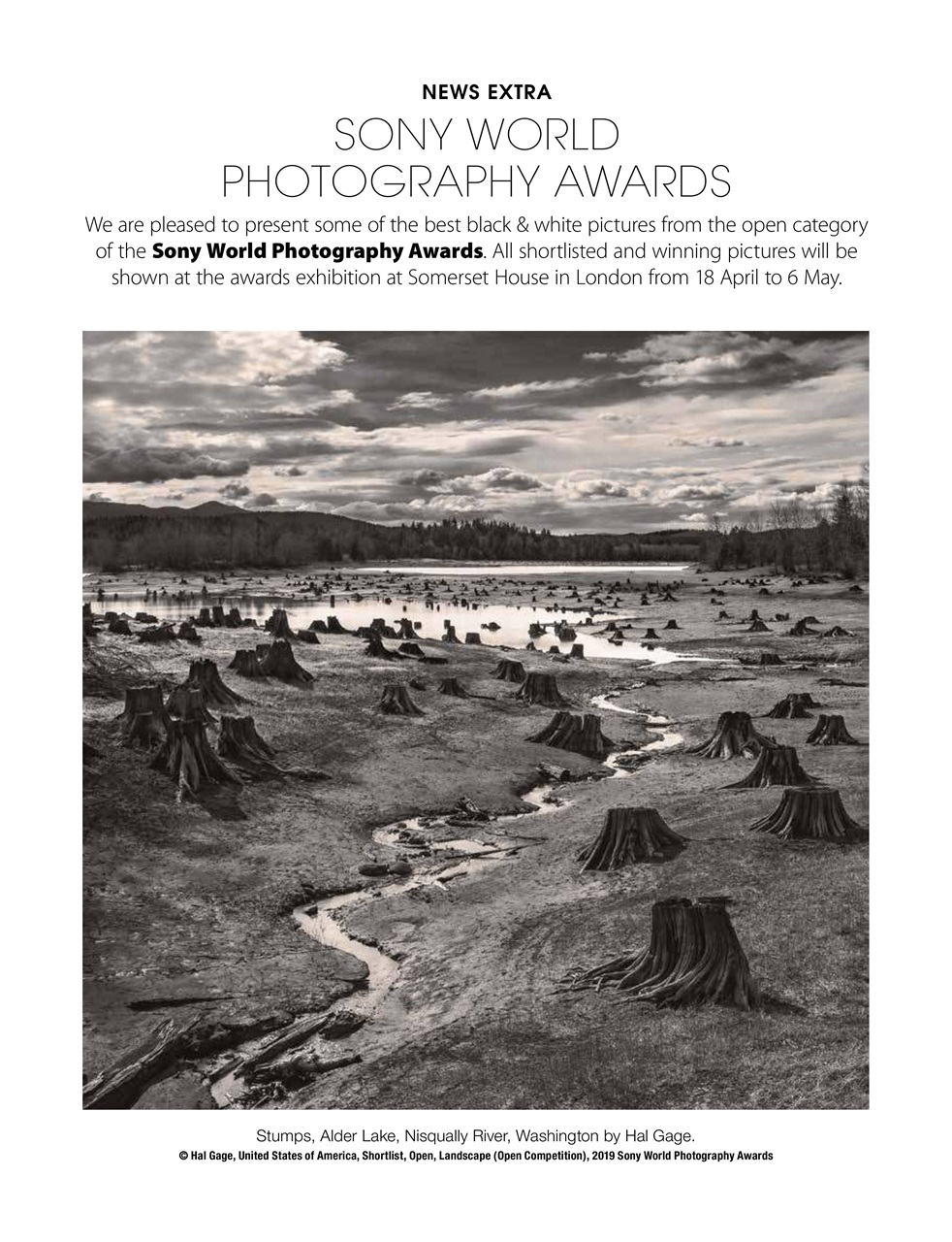 Black+White Photography Preview Pages