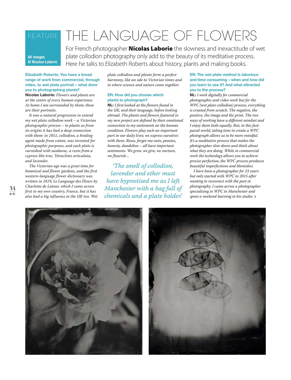 Black+White Photography Preview Pages