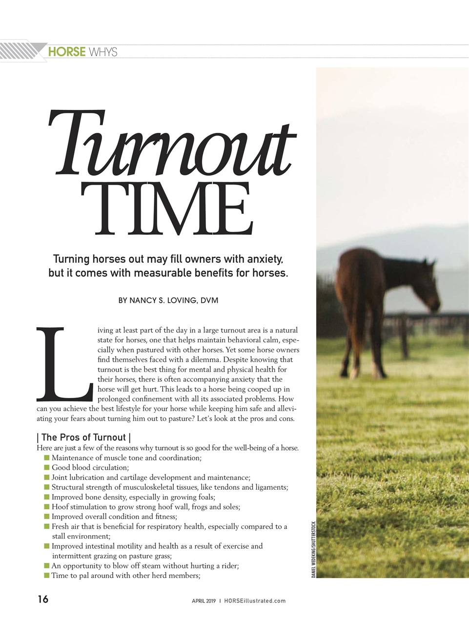 Horse Illustrated Magazine Preview Pages